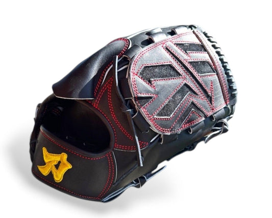 Hisashi Iwakuma Model