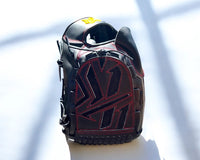 Hisashi Iwakuma Model