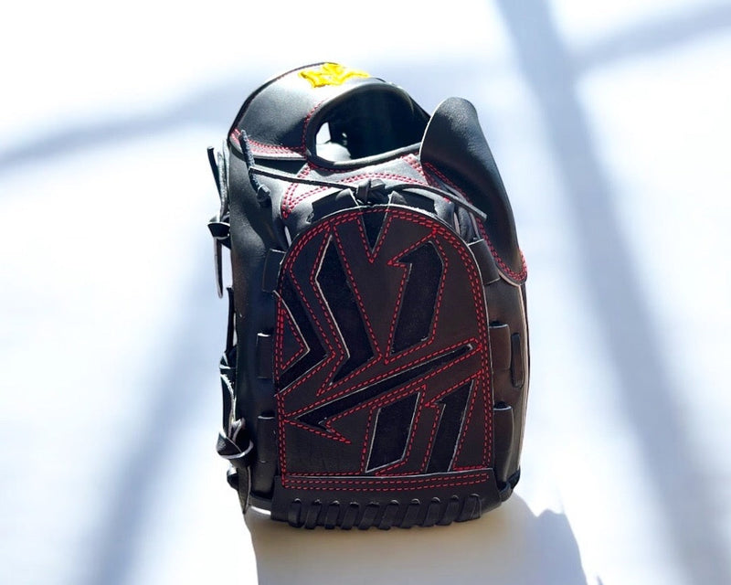 Hisashi Iwakuma Model