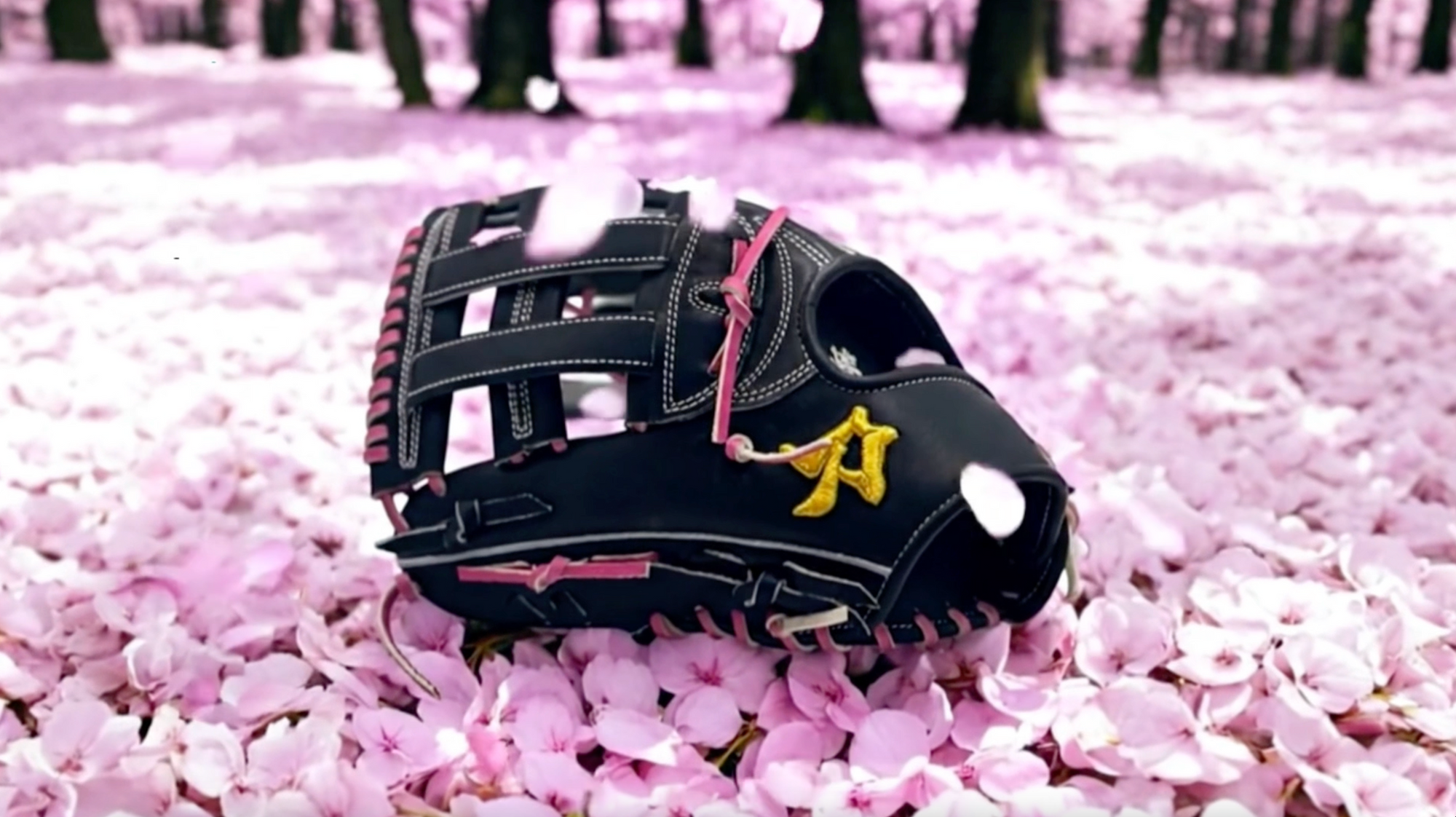 刀グラブ・Katana Baseball Gloves – Katana Japan / 刀グラブ